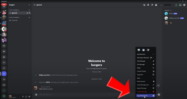 How turn on Developer Mode on discord (for get access to copy id