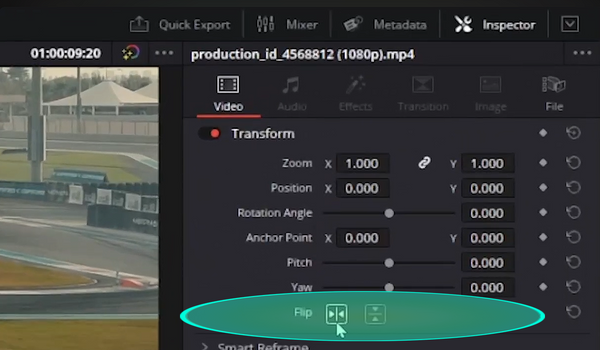 Flip Video Transforms