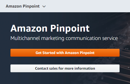 AWS Pinpoint Send SMS and Voice