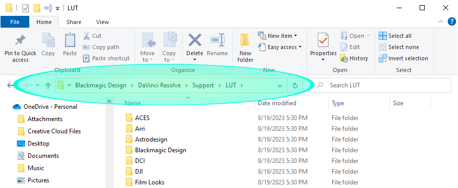 Davinci Resolve 18 LUTs folder location on Windows