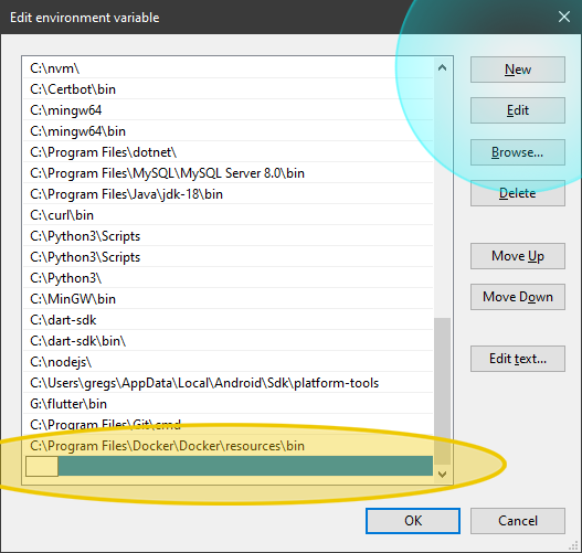 how to add new environment variable