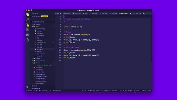 VSCode Shades of Purple Theme